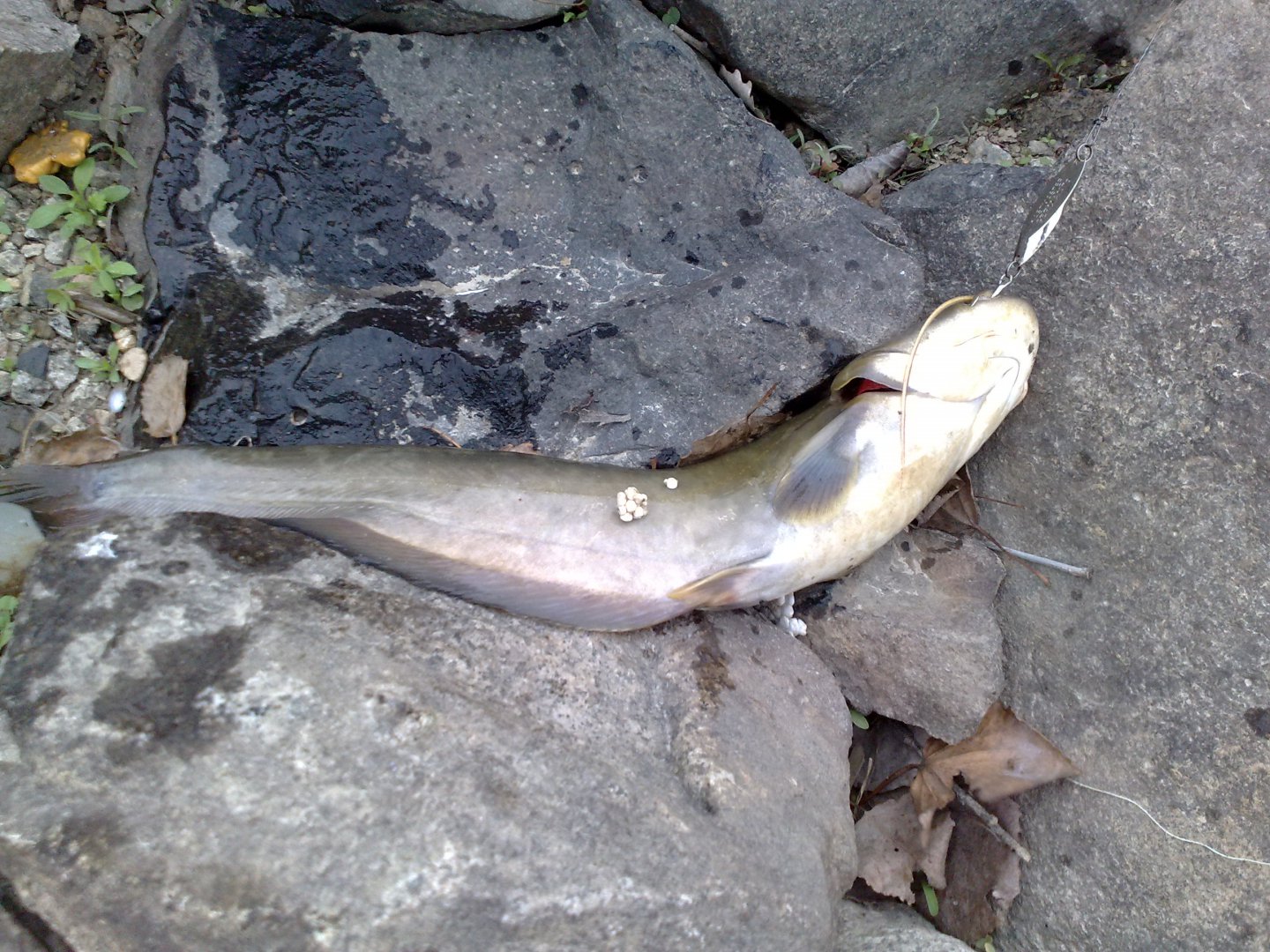 150520163434.jpg