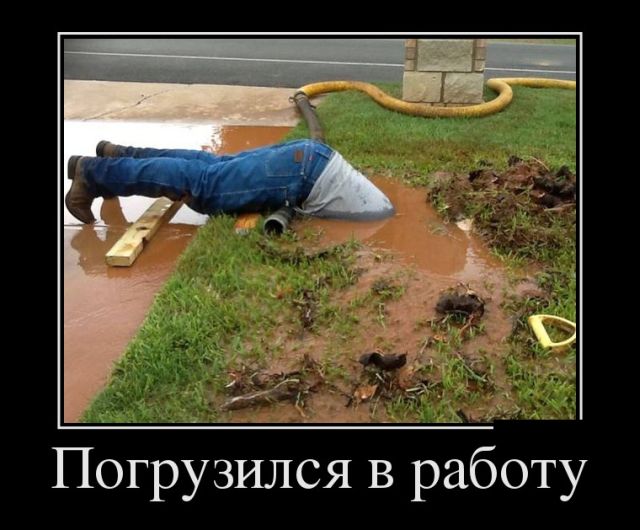 1505385576_demotivatory_08.jpg