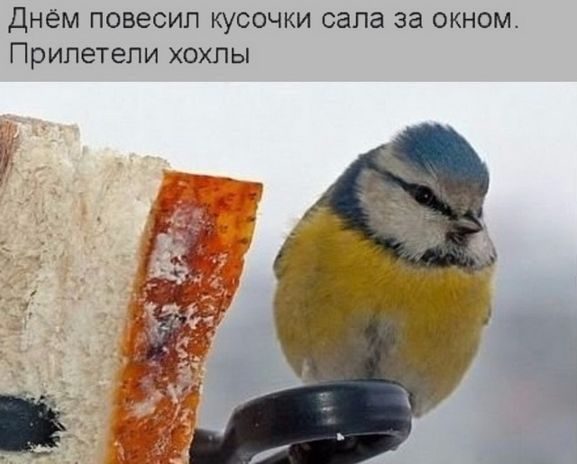 1518143155_042.jpg