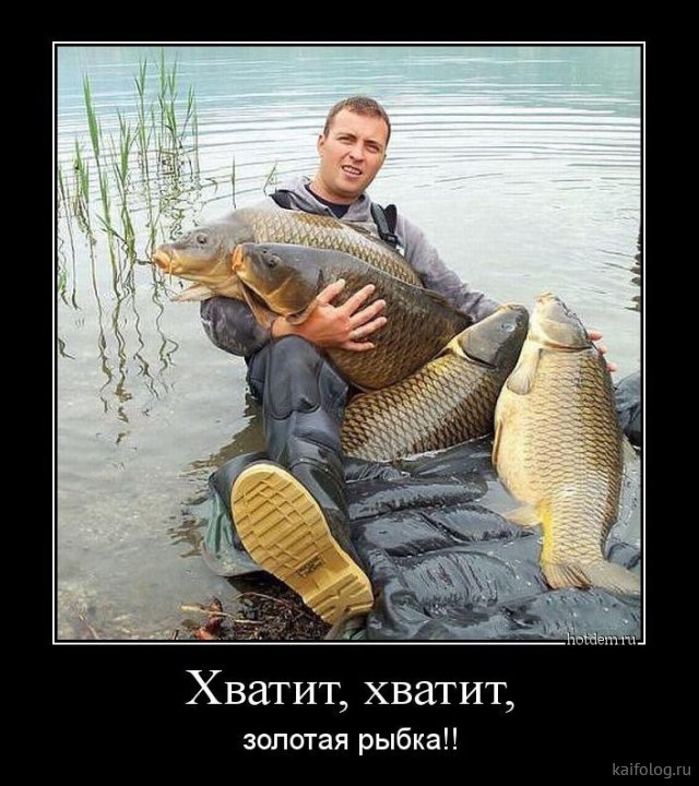 1530758383_017.jpg