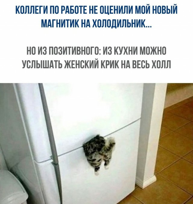 15356788.jpg