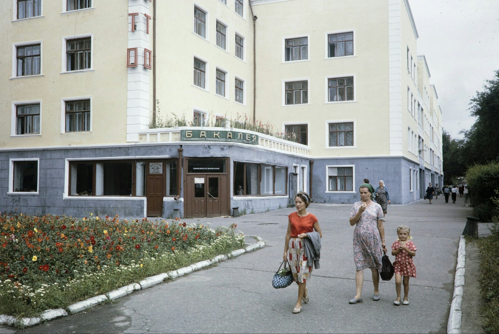 154695317911338682 (1).jpg