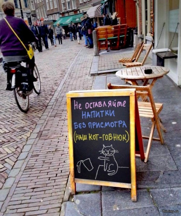 1557487861_cafe_12.jpg