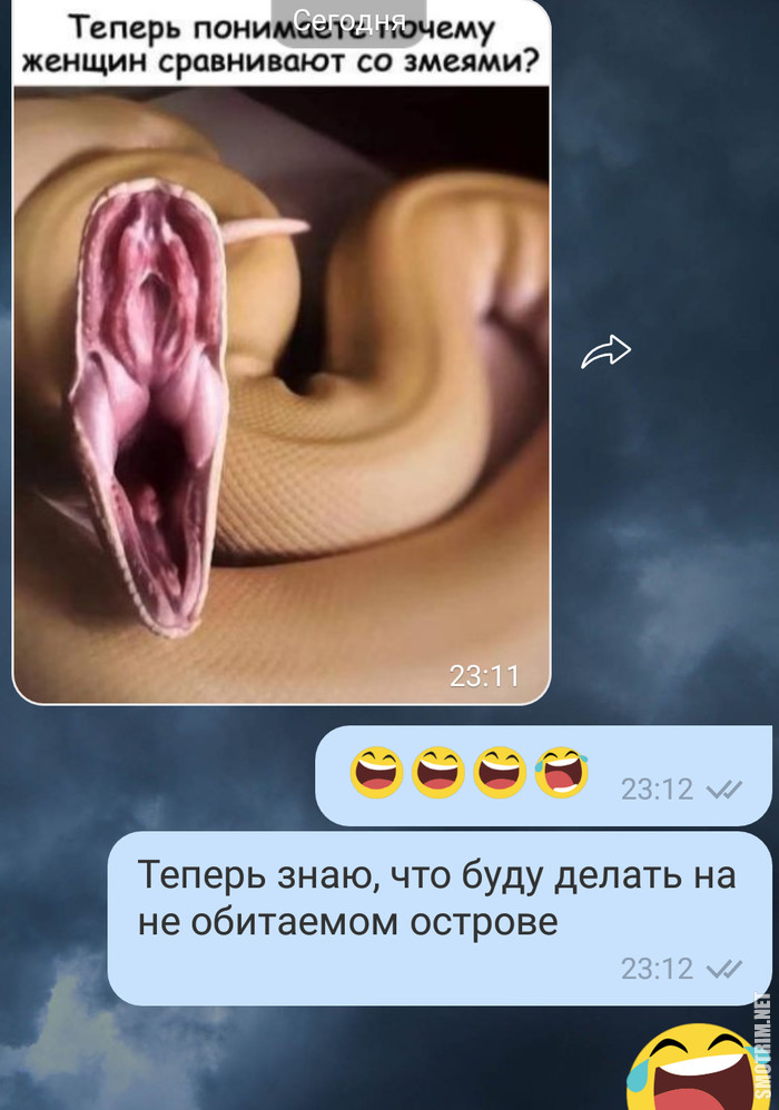 1561760419_prikoly-7.jpg