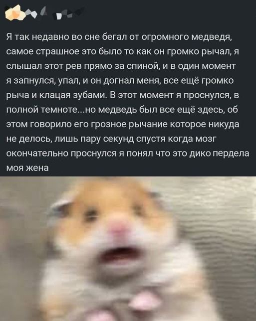 1576019310_22.jpg