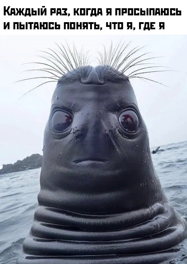 1578901311_podb_02.jpg