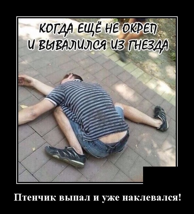 1581344688_demotivatory_09.jpg