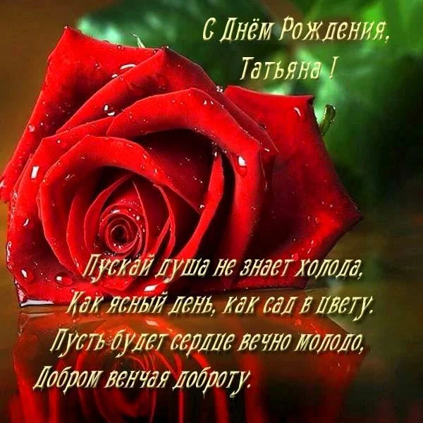 1591238053406.png