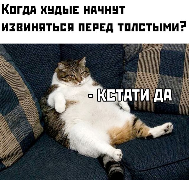 1592318555_podb_vecher_30.jpg