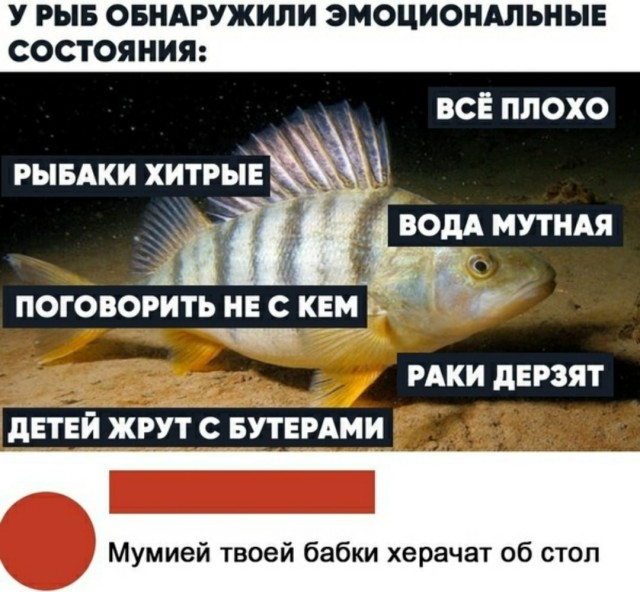 1598855928341.png