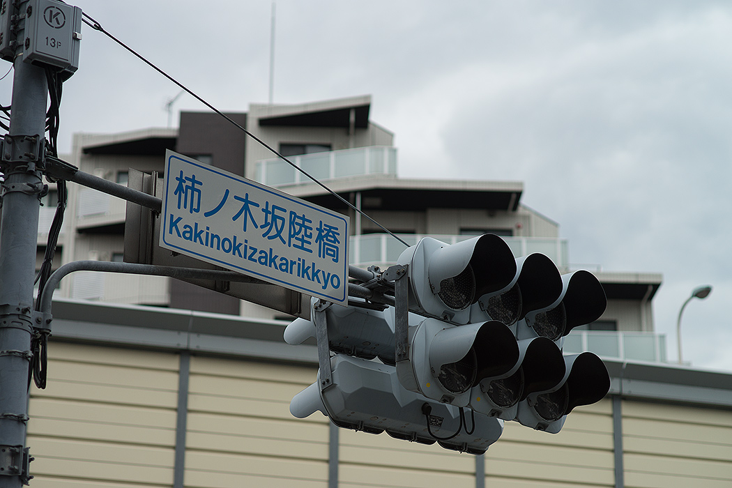 160.jpg