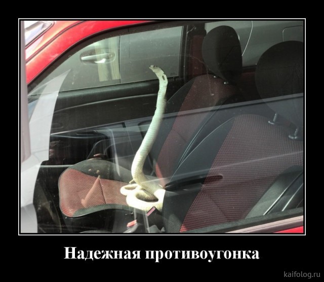 1609910501_014.jpg