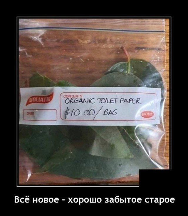 1617185022_demotiv-10.jpg