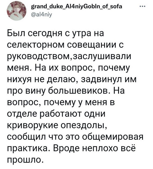 16278331.jpg