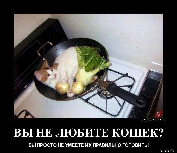 1631163503204.png