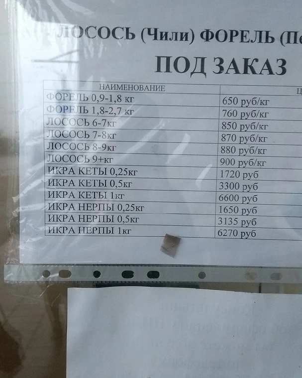 163448167325116659.jpg