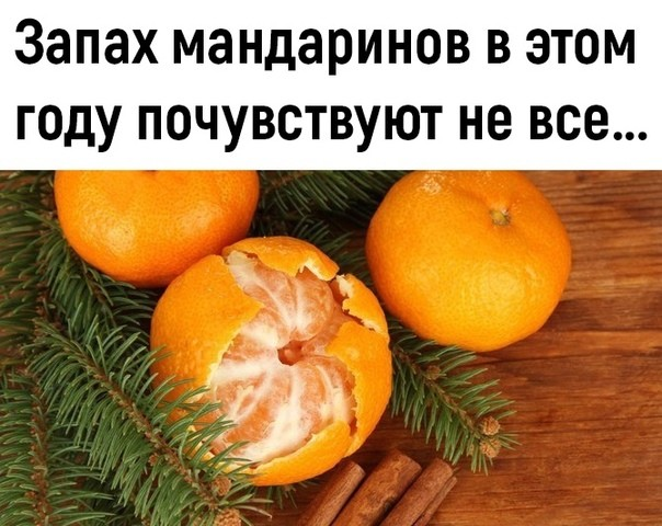 1635941482552.png