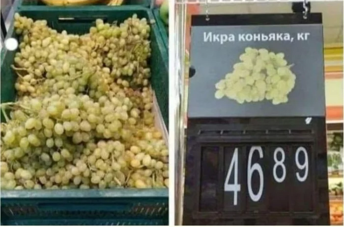 1639361668708.png