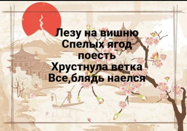 16458551.jpg