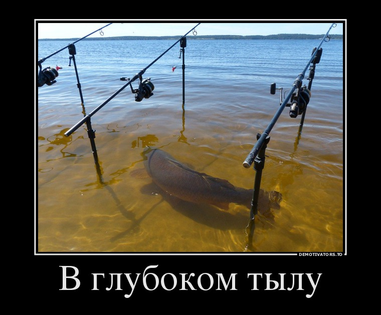 1651231394009.png