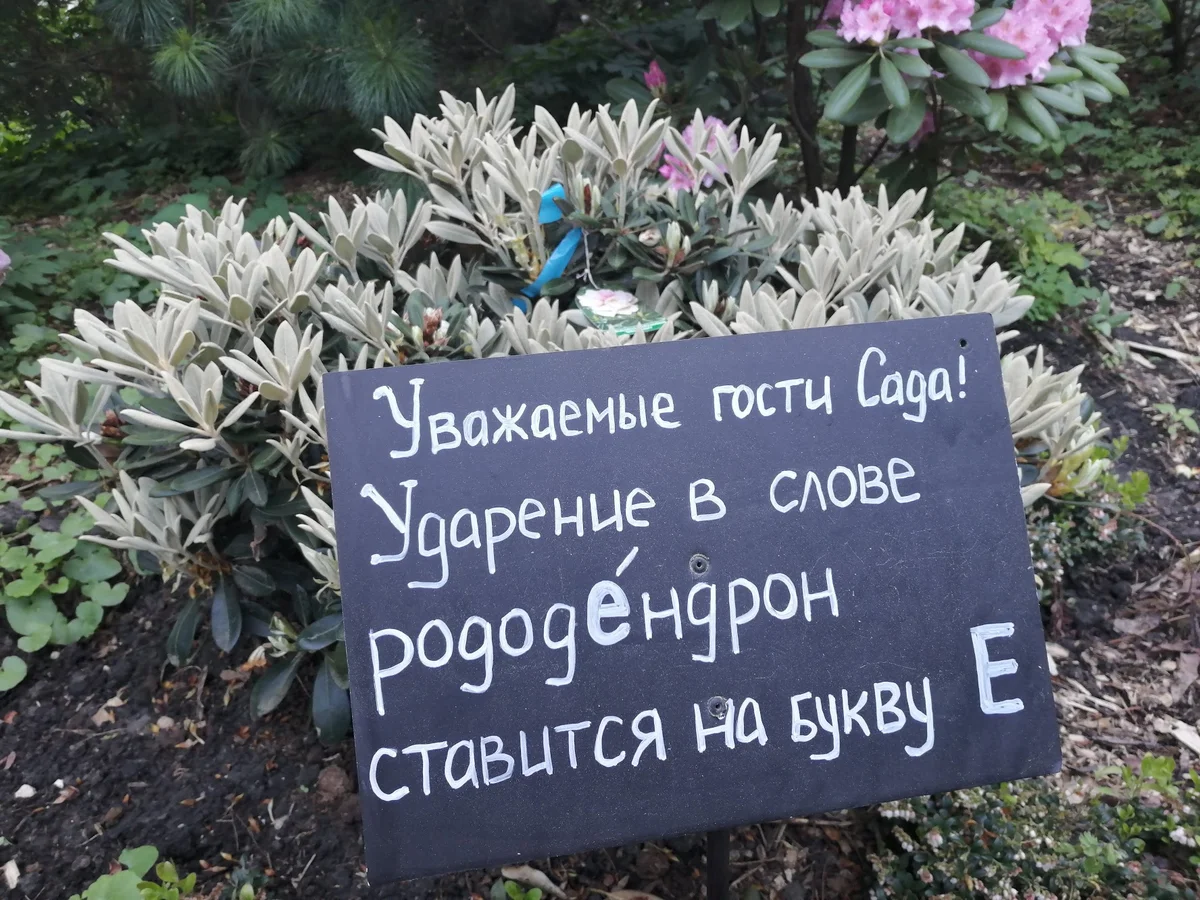 1652525297842.png