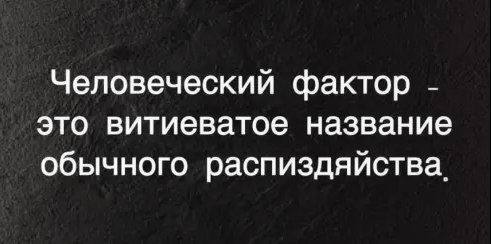 1653043352123953286.jpg