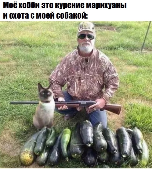 1654099707167791997.jpg