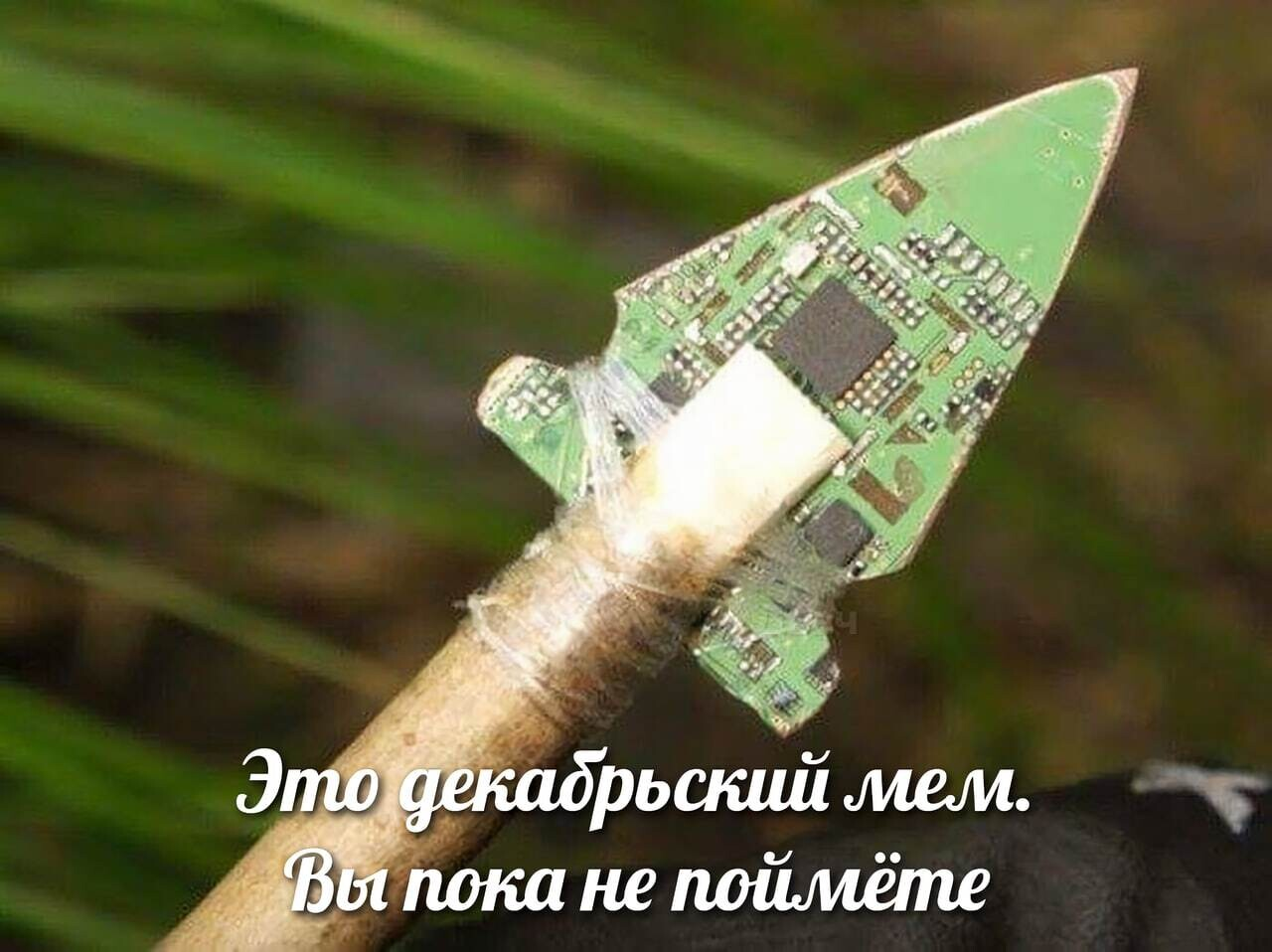 1655573372157371682.png