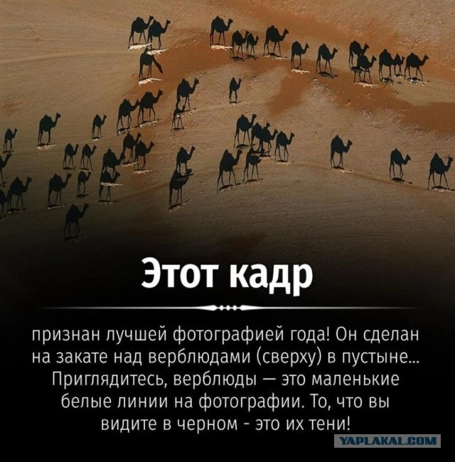1655632081404.png