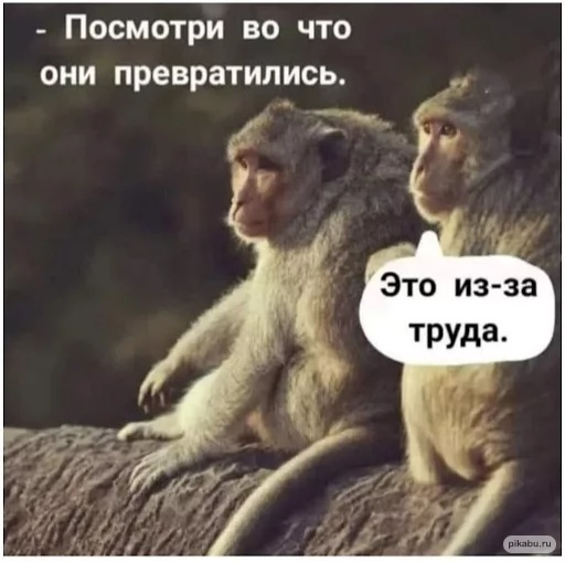 1656313167944.png