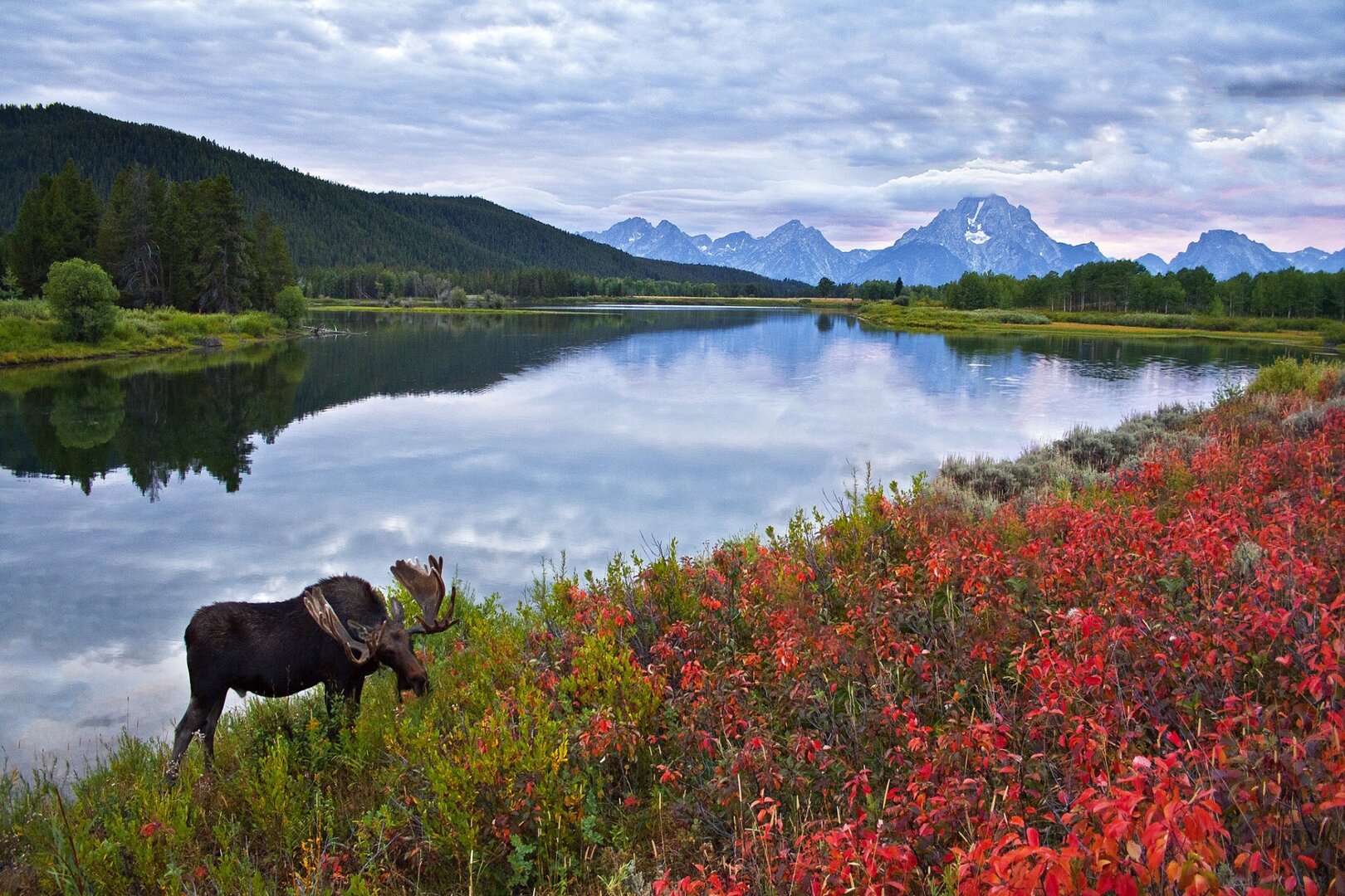 1659367458_22.jpg