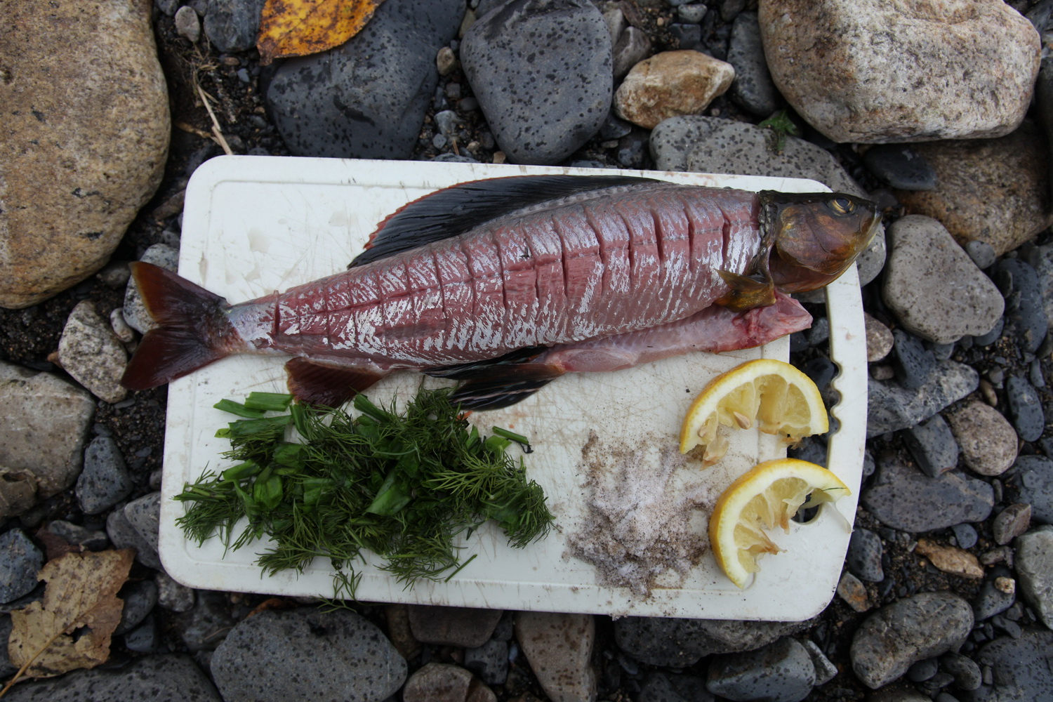 Мясо хариуса фото Мясо хариуса фото