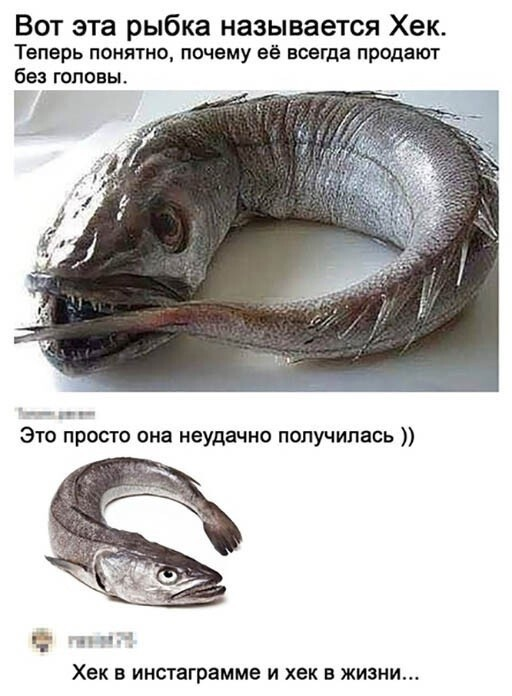 1662848841927.png