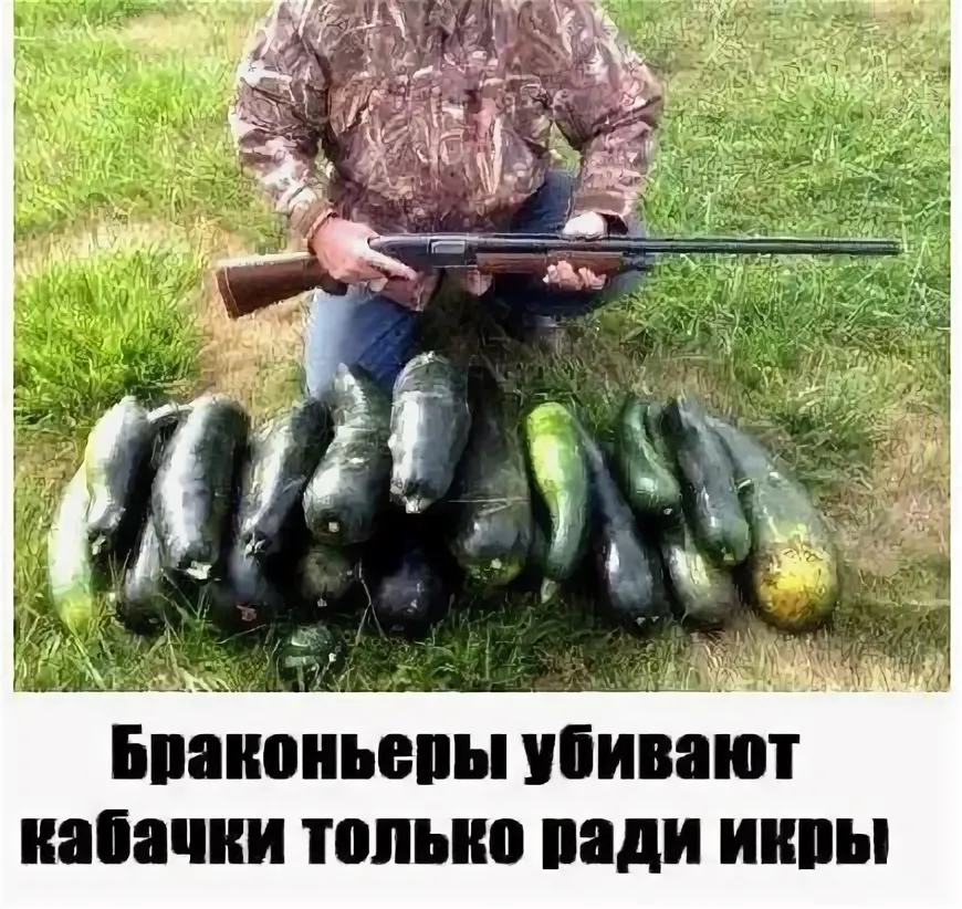1664548935236.png