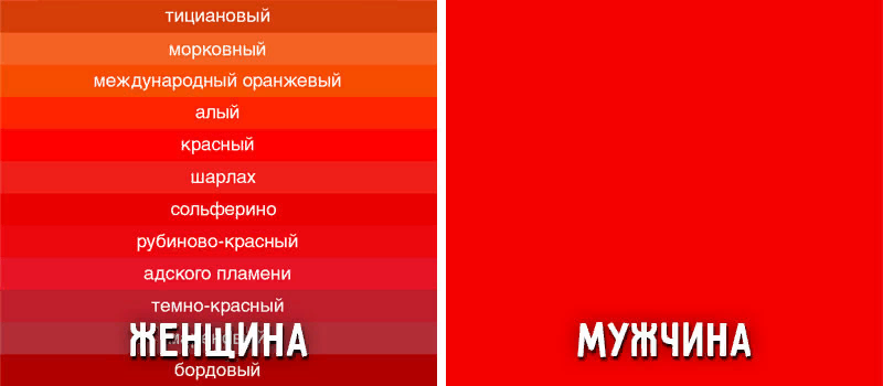 1665458084120.png