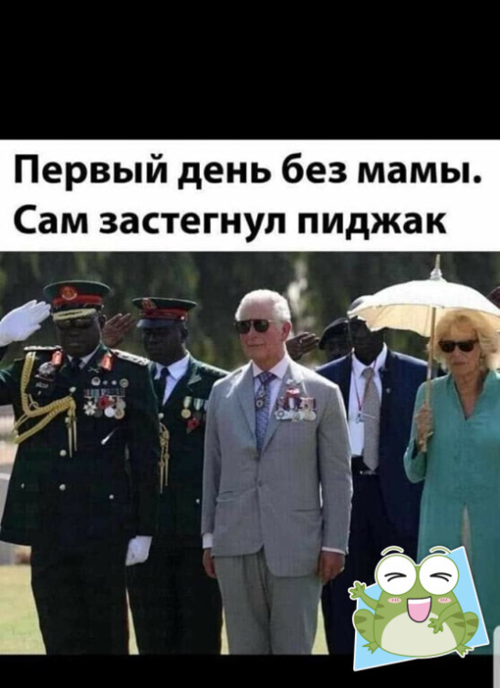 1665970356204.png
