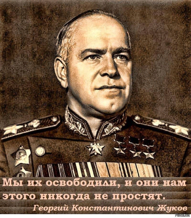 1667565493226.png