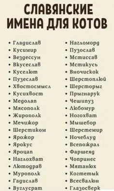 1667862077131.png