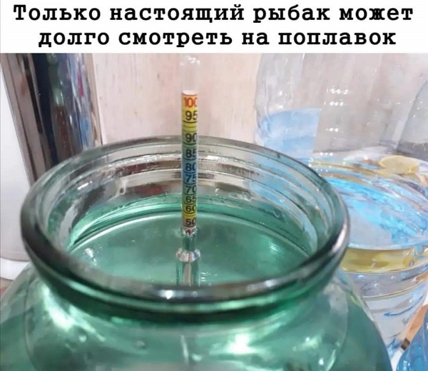 1667975837979.png