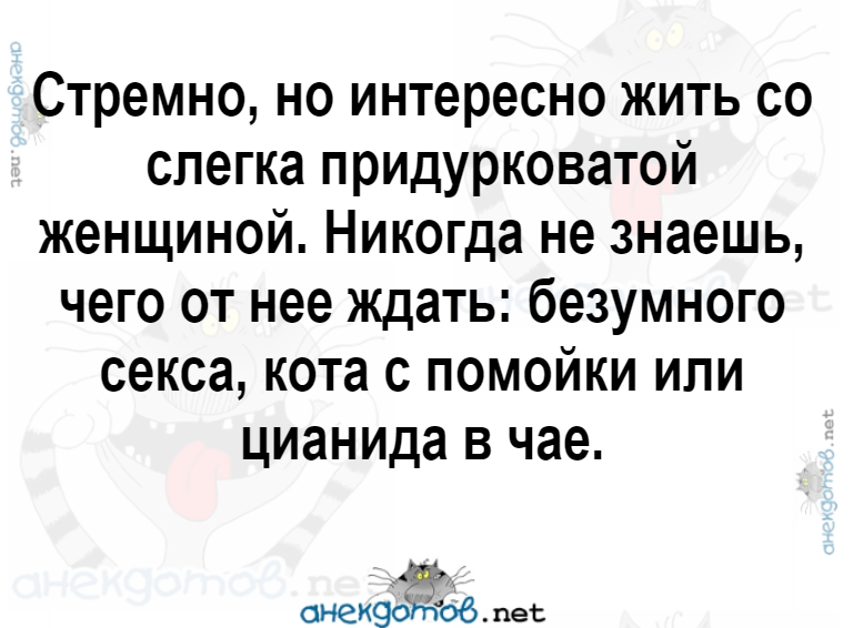 1668483161239.png