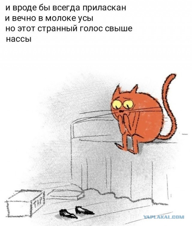 1669710322734.png