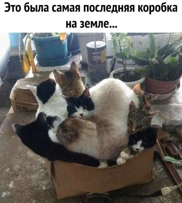 1669954715442.png