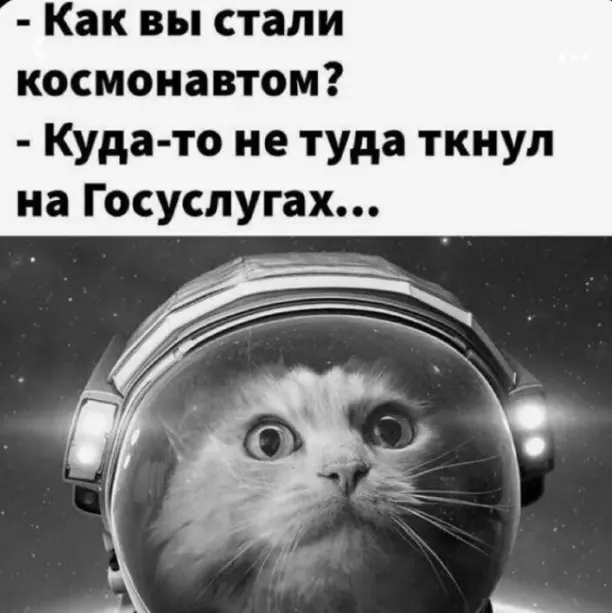 1671671051328.png