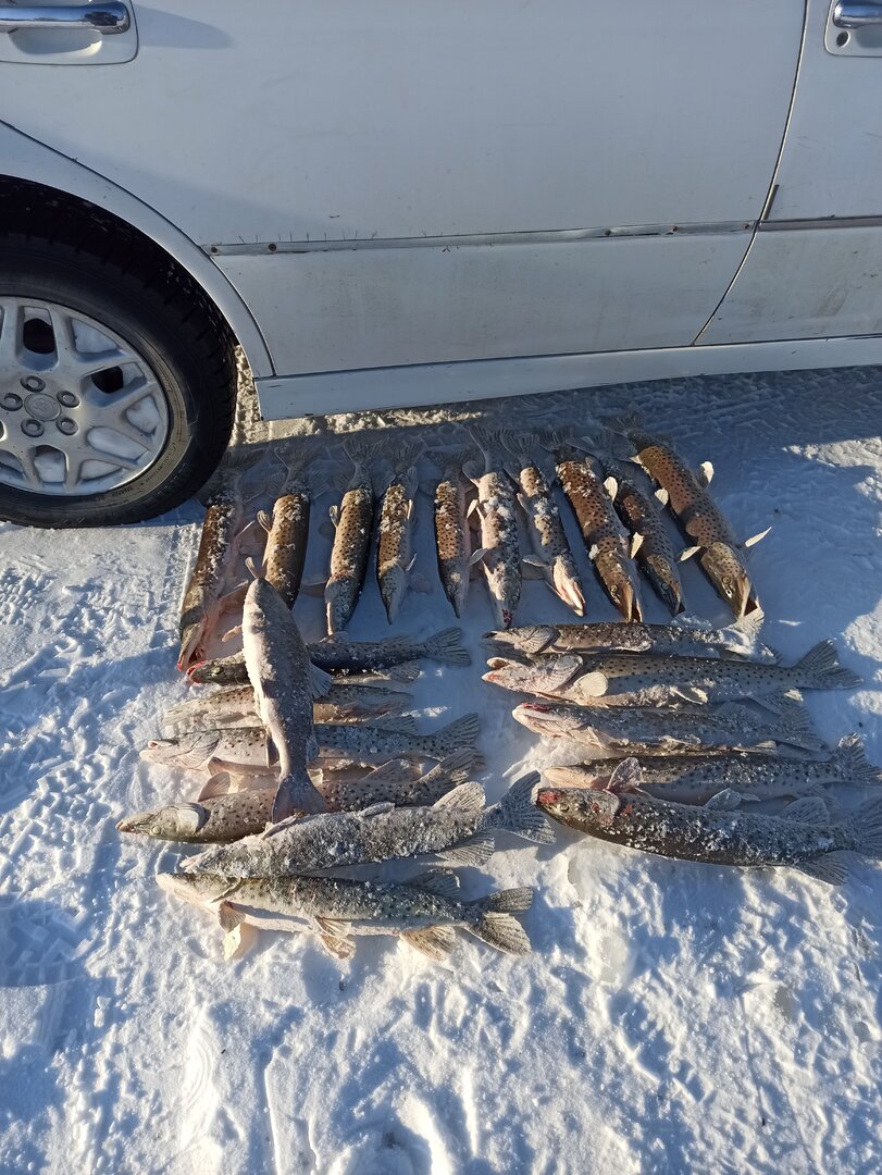 1673083424969.jpg 1673083424969.jpg