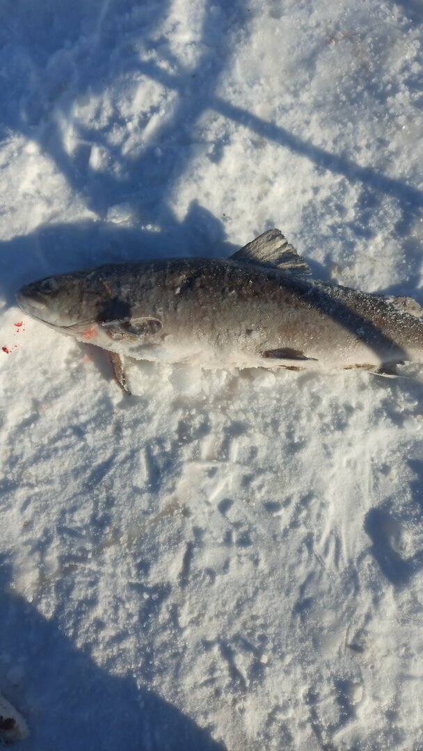 1673083424983(1).jpeg 1673083424983(1).jpeg