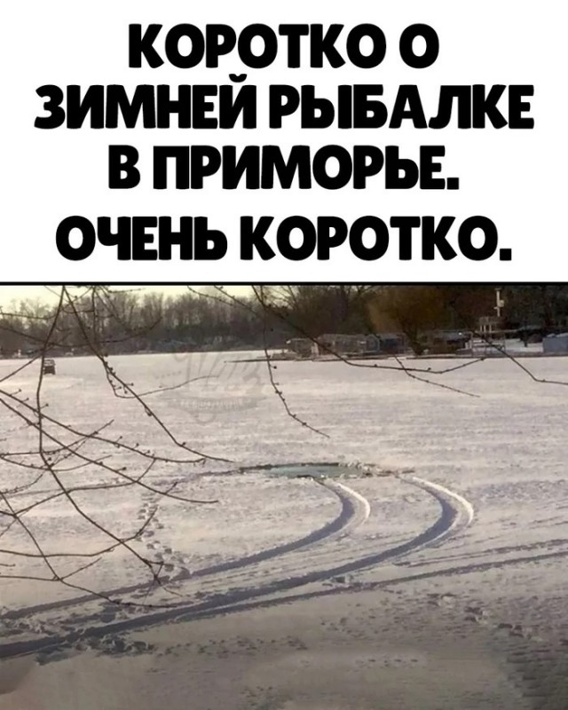 1674377264597.png