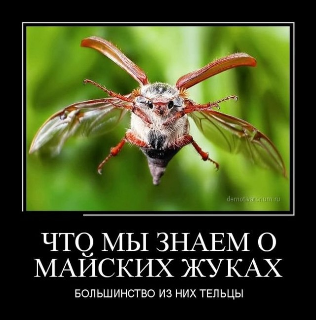 1675142941395.png