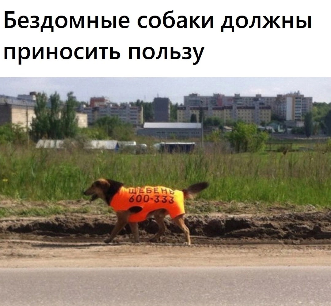 1675228664230.png
