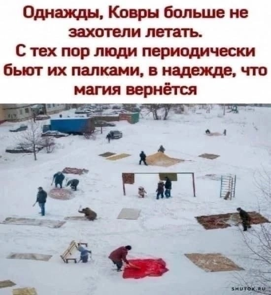 1675818042533.png