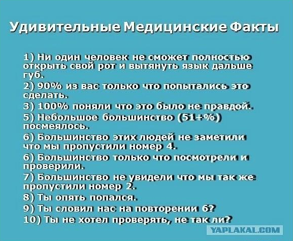 1678416502952.png